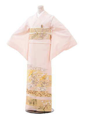 色留袖（五つ紋）